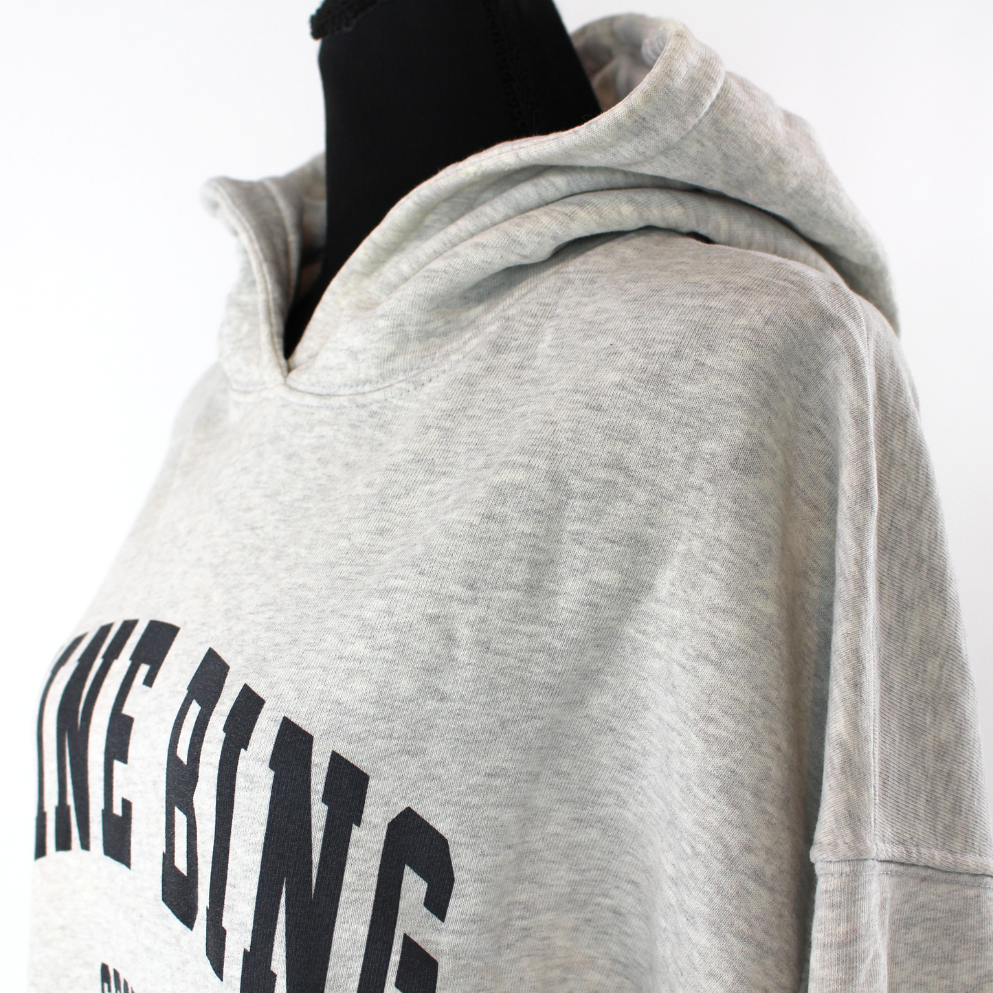 Anine Bing Harvey Hoodie Sweatshirt