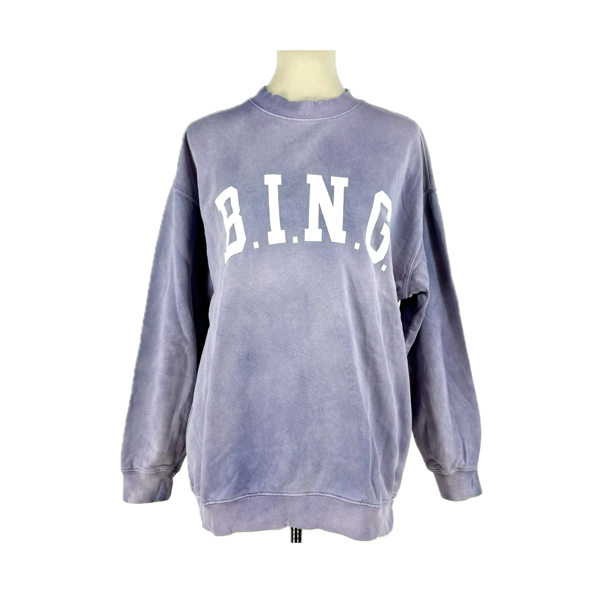 Anine Bing Tyler Sweatshirt