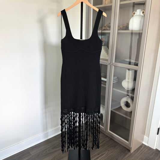 Simkhai Signa Fringe Trim Dress