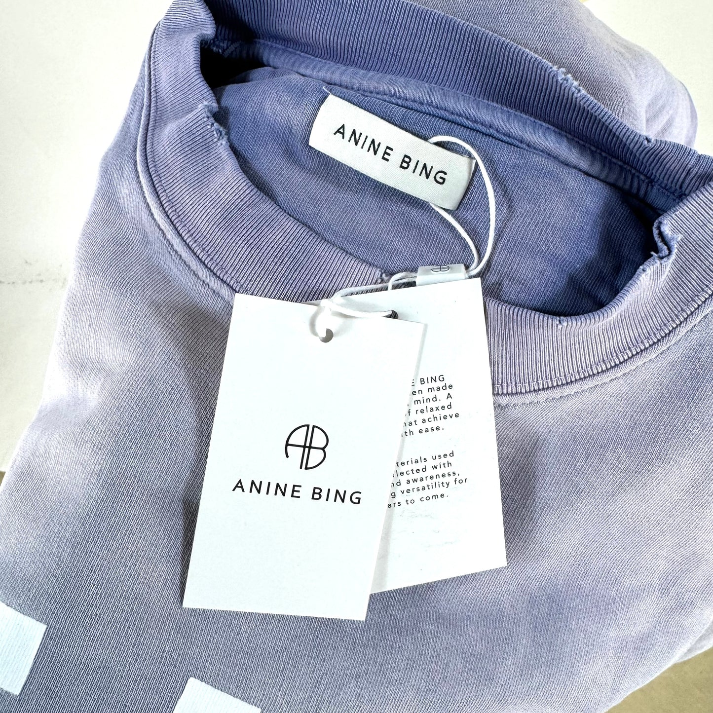 Anine Bing Tyler Sweatshirt