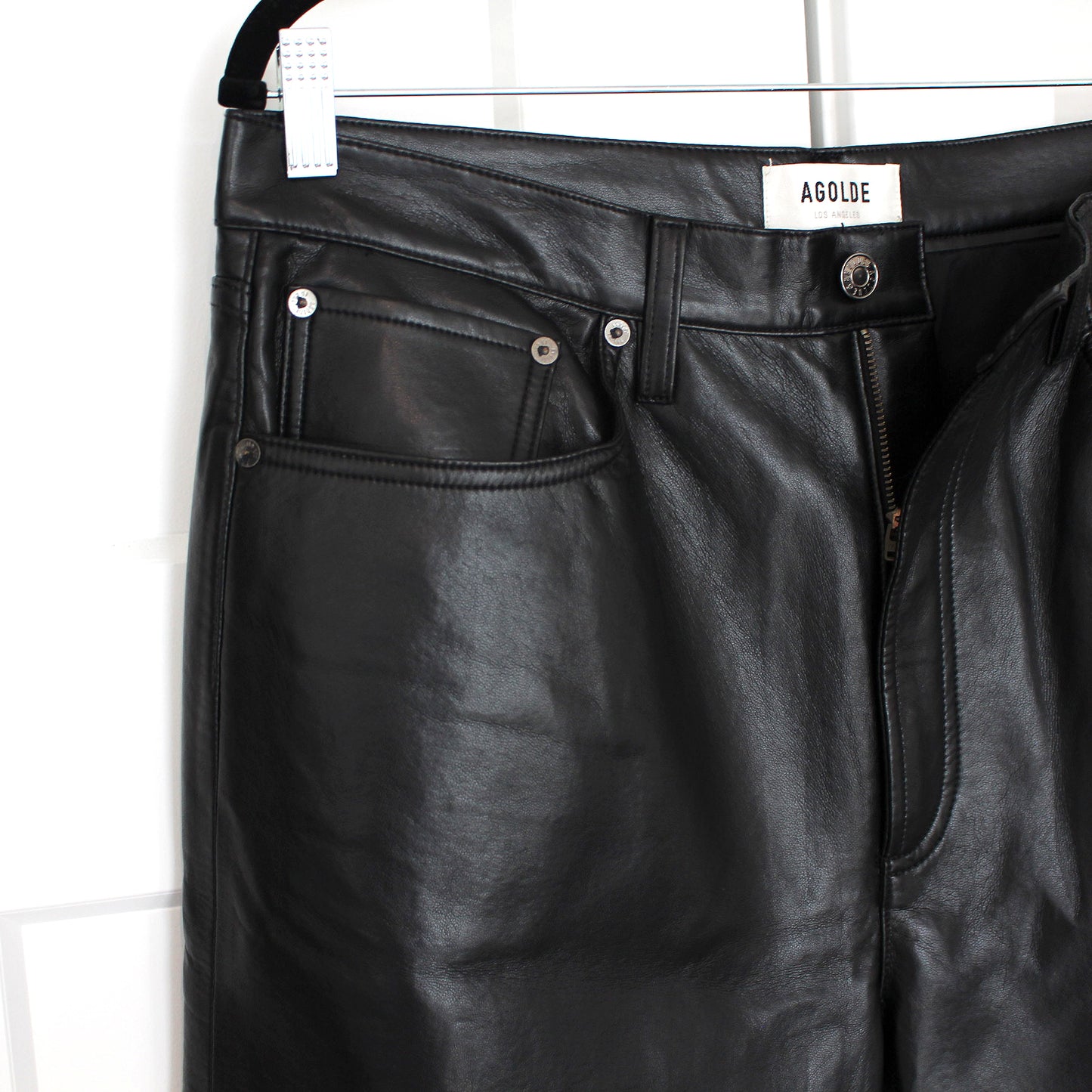 Agolde Recycled Leather Pants