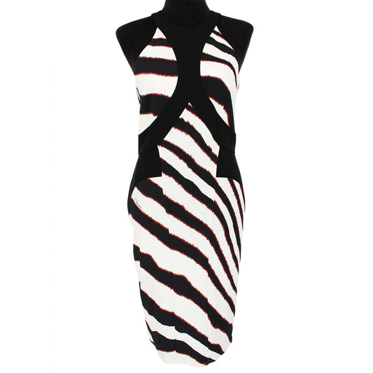 Roberto Cavalli Zebra Dress