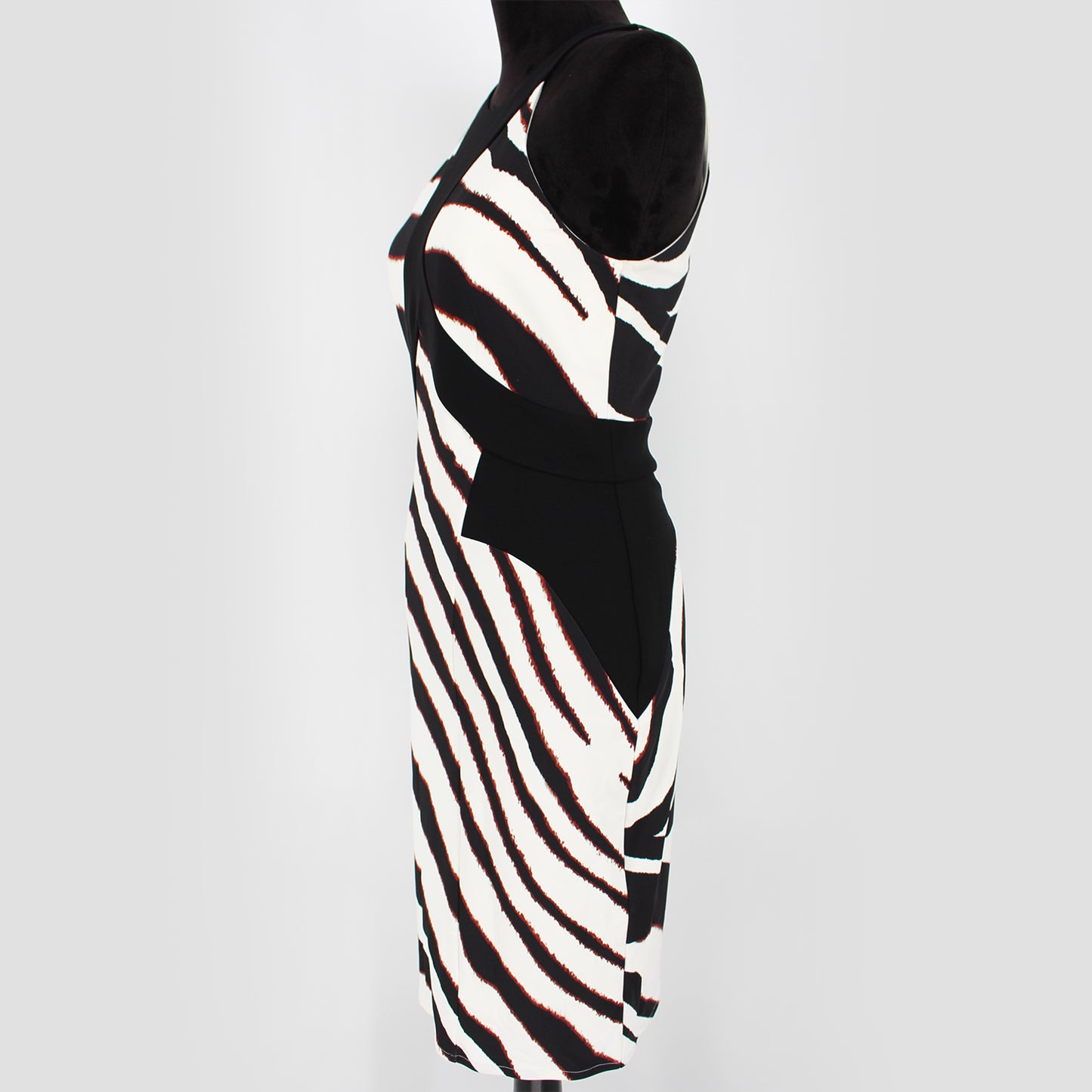 Roberto Cavalli Zebra Dress