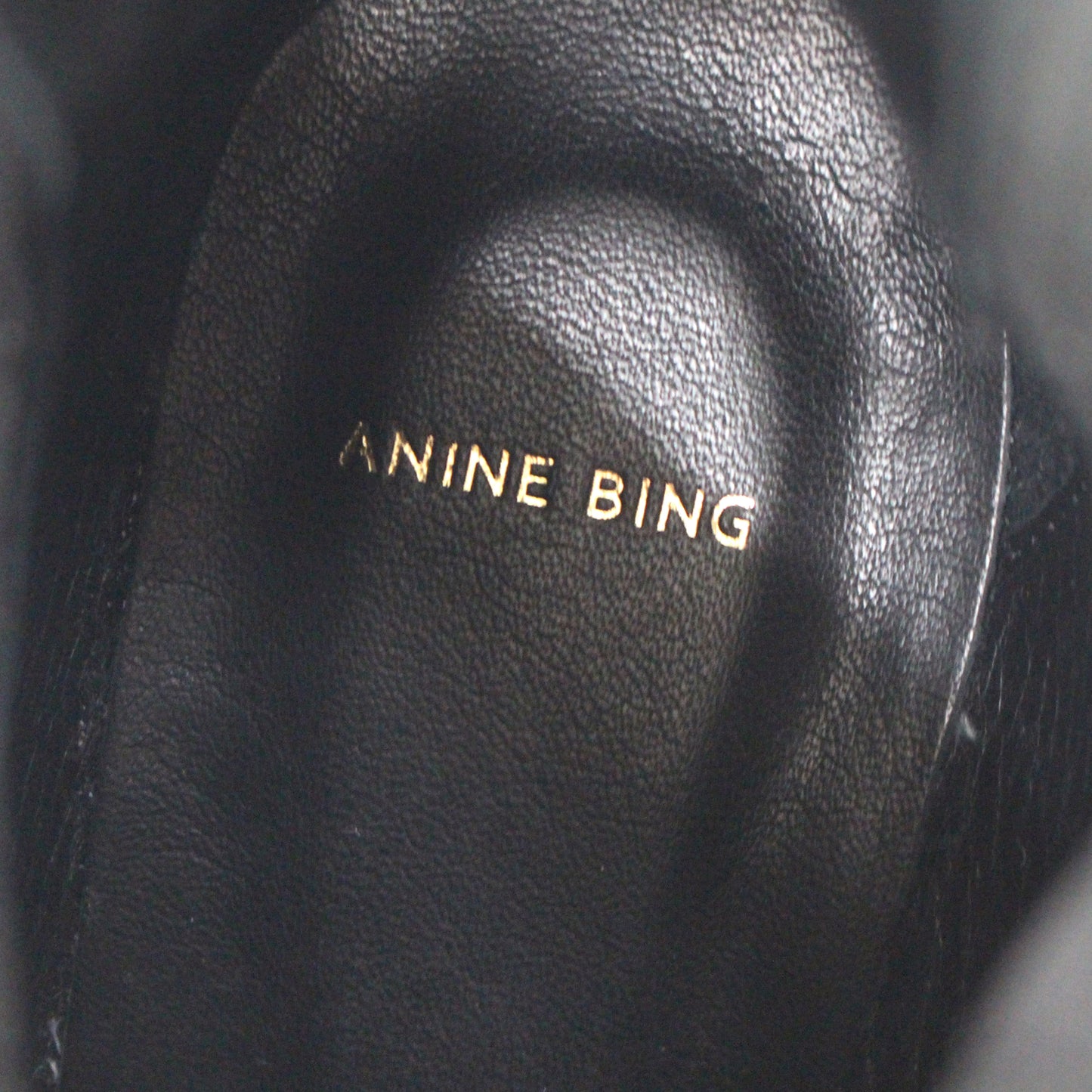 Anine Bing Harris Python Ankle Bootie